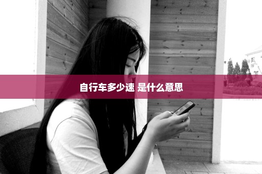 自行车多少速 是什么意思
