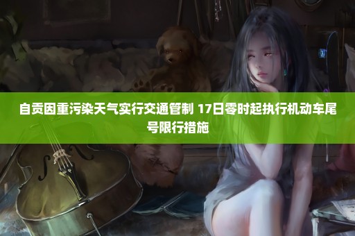 自贡因重污染天气实行交通管制 17日零时起执行机动车尾号限行措施