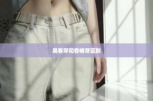 臭春芽和香椿芽区别