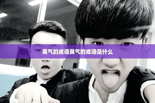 臭气的成语臭气的成语是什么