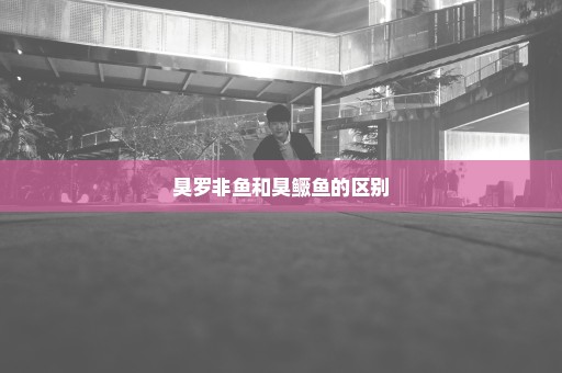 臭罗非鱼和臭鳜鱼的区别