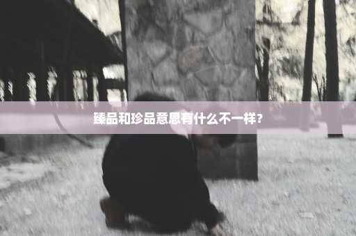 臻品和珍品意思有什么不一样？