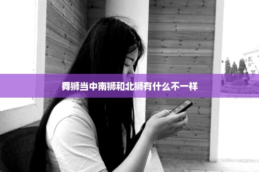 舞狮当中南狮和北狮有什么不一样
