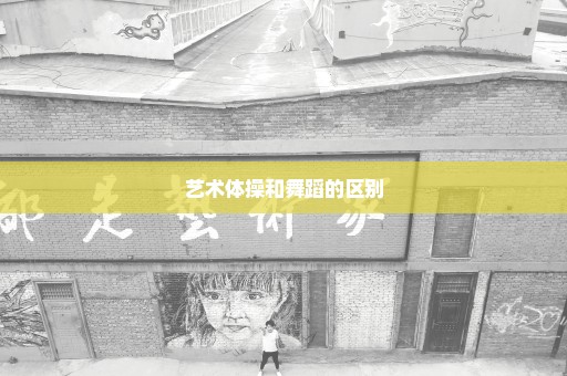 艺术体操和舞蹈的区别