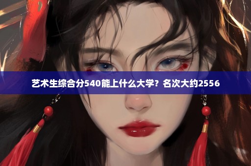 艺术生综合分540能上什么大学？名次大约2556