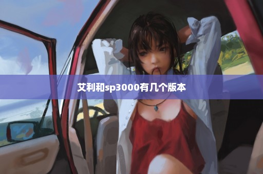 艾利和sp3000有几个版本