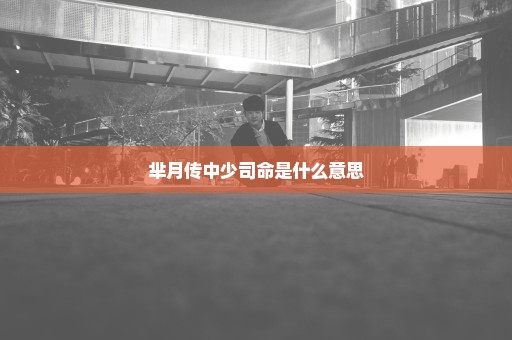 芈月传中少司命是什么意思