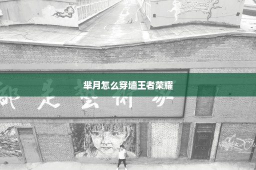 芈月怎么穿墙王者荣耀