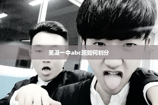 芜湖一中abc班如何划分