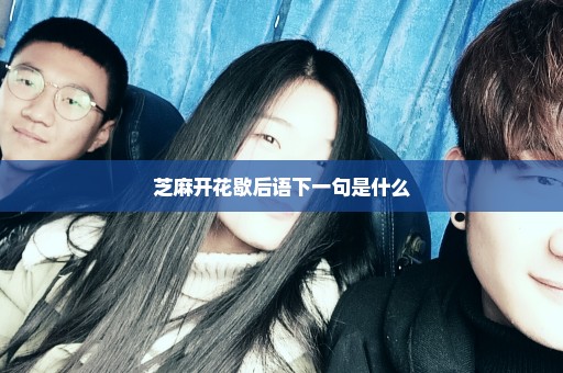 芝麻开花歇后语下一句是什么