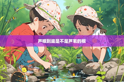 芦根到底是不是芦苇的根