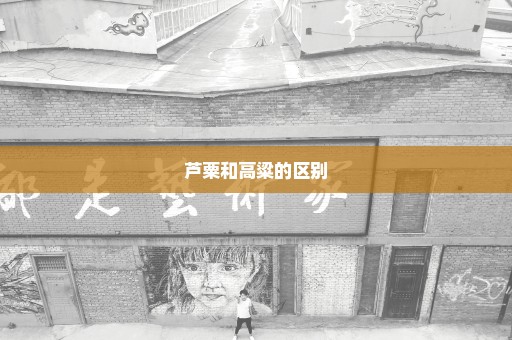 芦粟和高粱的区别