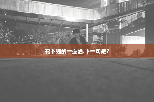花下独酌一壶酒.下一句是？