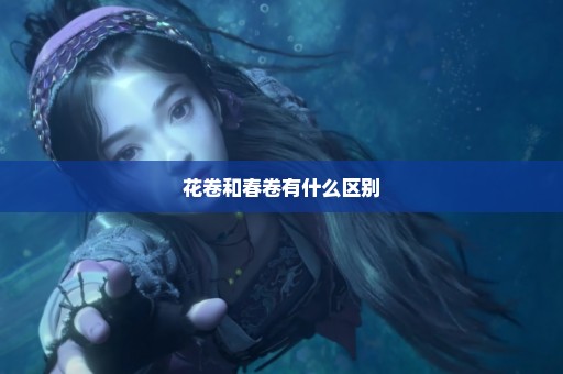 花卷和春卷有什么区别