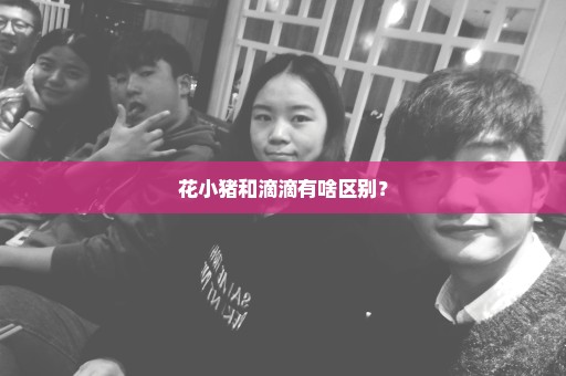 花小猪和滴滴有啥区别？