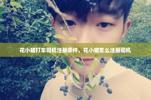 花小猪打车司机注册条件，花小猪怎么注册司机