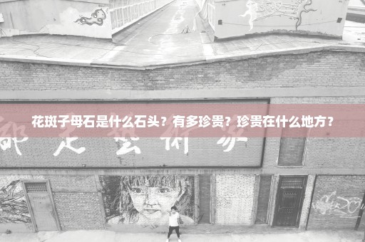 花斑子母石是什么石头？有多珍贵？珍贵在什么地方？