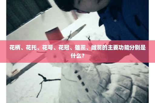 花柄、花托、花萼、花冠、雄蕊、雌蕊的主要功能分别是什么？