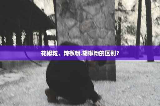 花椒粒、辣椒粉.胡椒粉的区别？