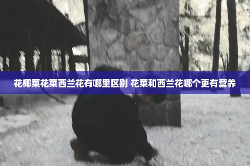 花椰菜花菜西兰花有哪里区别 花菜和西兰花哪个更有营养