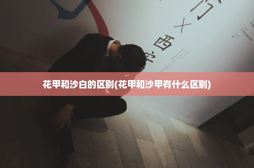 花甲和沙白的区别(花甲和沙甲有什么区别)