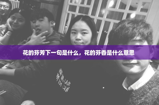花的芬芳下一句是什么，花的芬香是什么意思 