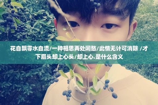 花自飘零水自流/一种相思两处闲愁/此情无计可消除 /才下眉头却上心头/却上心.是什么含义