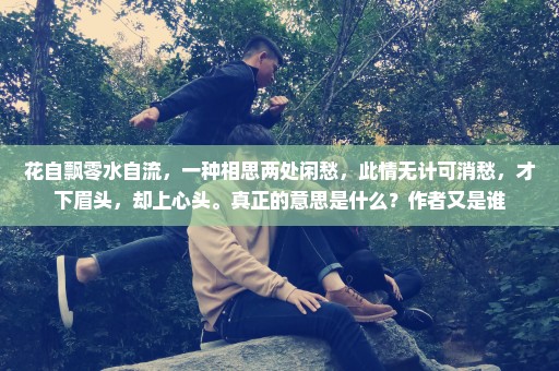 花自飘零水自流，一种相思两处闲愁，此情无计可消愁，才下眉头，却上心头。真正的意思是什么？作者又是谁