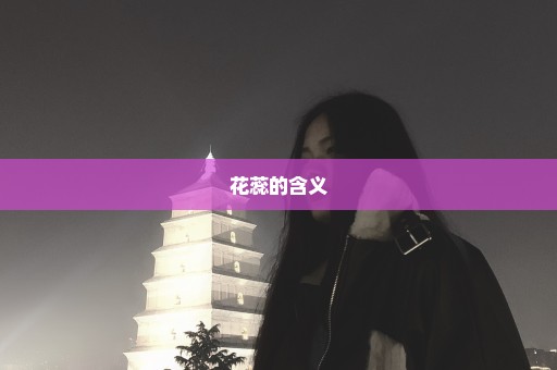 花蕊的含义