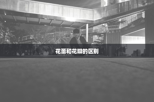 花蕾和花瓣的区别
