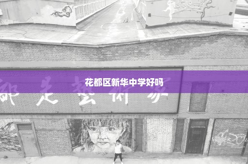 花都区新华中学好吗