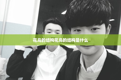 花鸟的结构花鸟的结构是什么