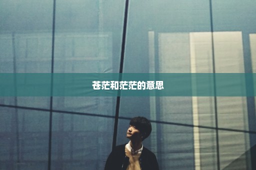 苍茫和茫茫的意思
