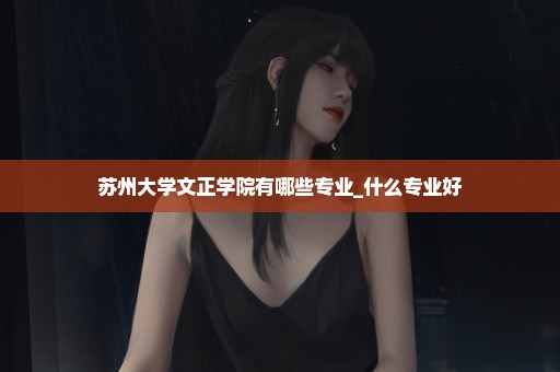 苏州大学文正学院有哪些专业_什么专业好