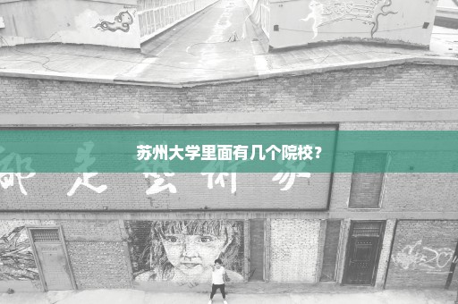 苏州大学里面有几个院校？