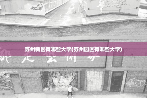 苏州新区有哪些大学(苏州园区有哪些大学)