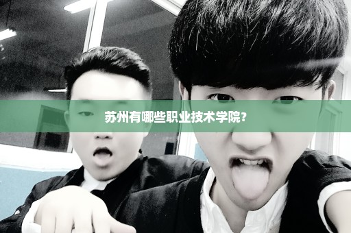 苏州有哪些职业技术学院？