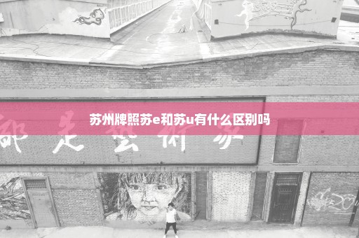 苏州牌照苏e和苏u有什么区别吗