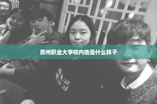 苏州职业大学校内地是什么样子