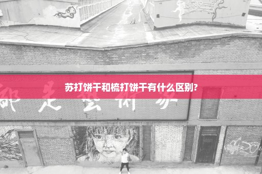 苏打饼干和梳打饼干有什么区别?