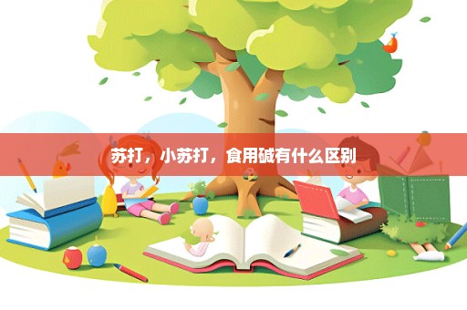 苏打，小苏打，食用碱有什么区别