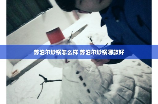 苏泊尔炒锅怎么样 苏泊尔炒锅哪款好