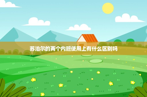 苏泊尔的两个内胆使用上有什么区别吗