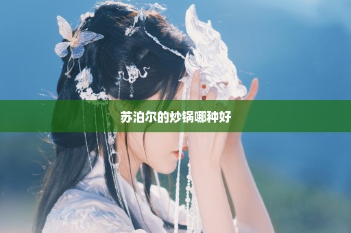 苏泊尔的炒锅哪种好