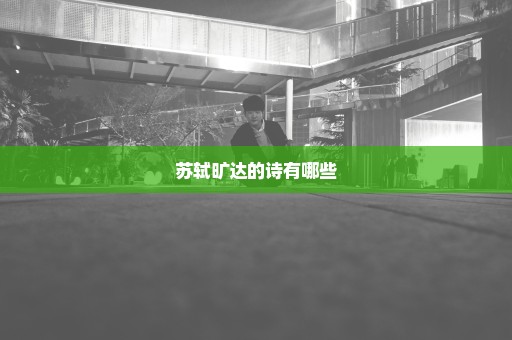 苏轼旷达的诗有哪些