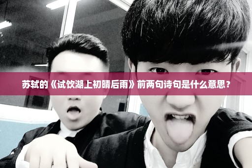 苏轼的《试饮湖上初晴后雨》前两句诗句是什么意思？
