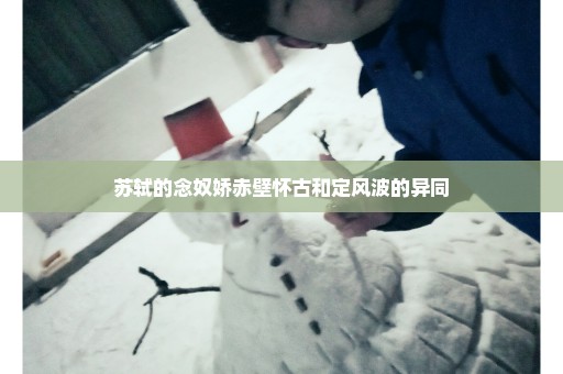 苏轼的念奴娇赤壁怀古和定风波的异同