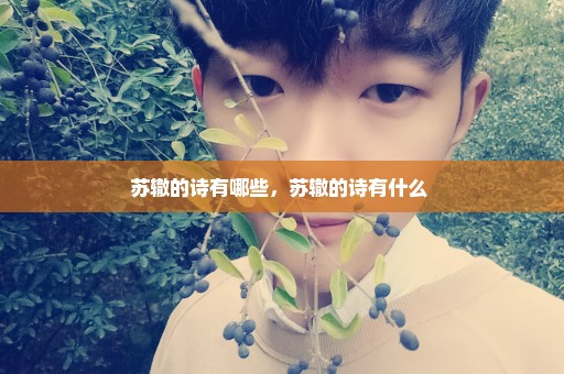 苏辙的诗有哪些，苏辙的诗有什么 