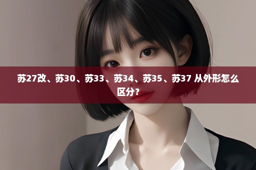 苏27改、苏30、苏33、苏34、苏35、苏37 从外形怎么区分？