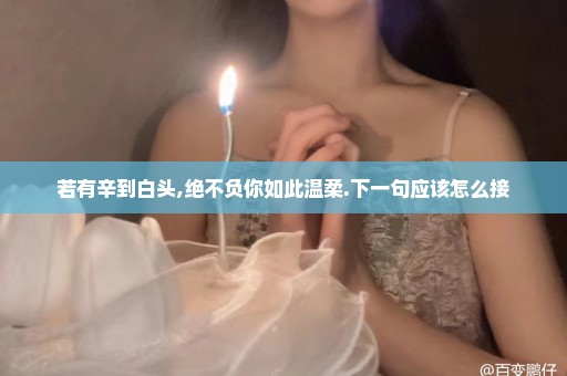 若有辛到白头,绝不负你如此温柔.下一句应该怎么接